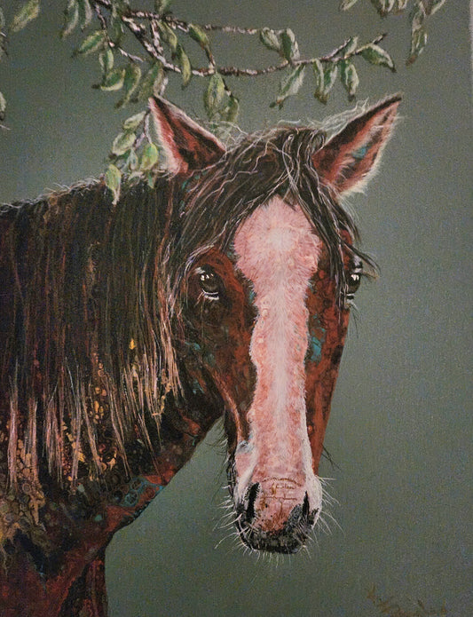 Horse with Blaze on Canvas, 16"x20"